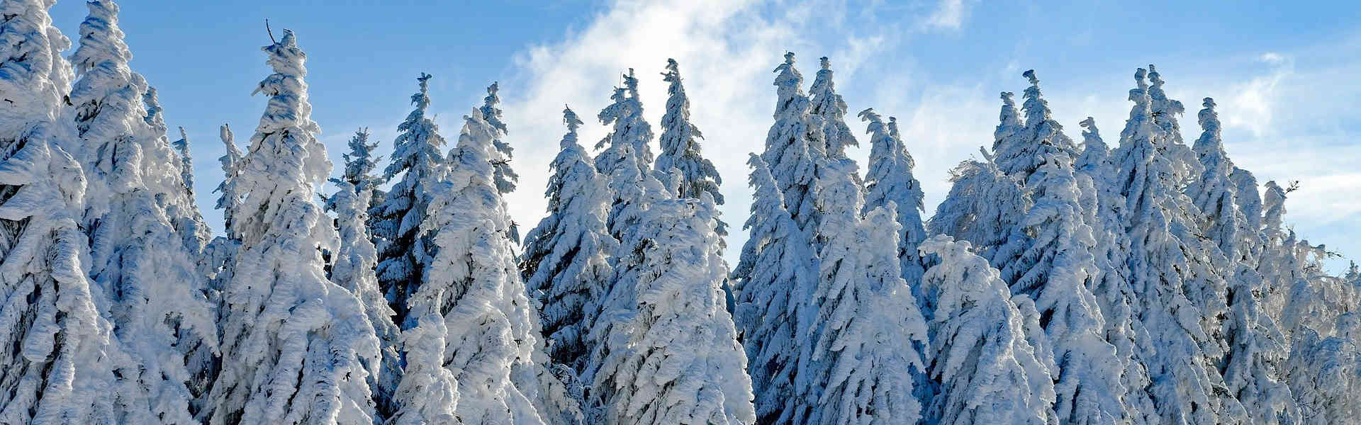 Reiseinspiration - Fröhliche Weihnachten 2020 Headerbild2